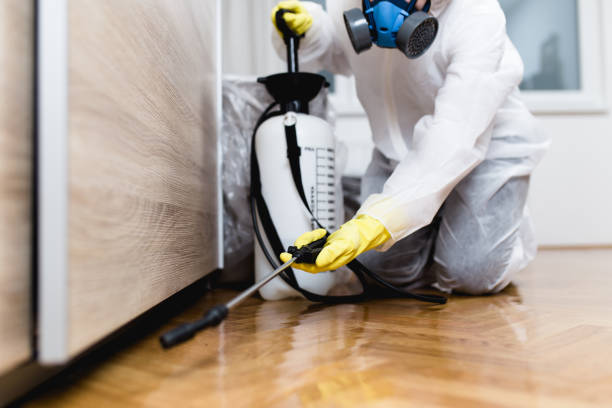 Best Affordable Pest Control Services  in West Frankfort, IL