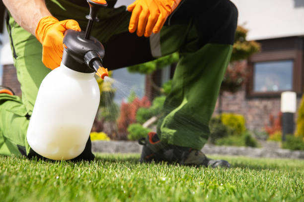 Best Residential Pest Control  in West Frankfort, IL