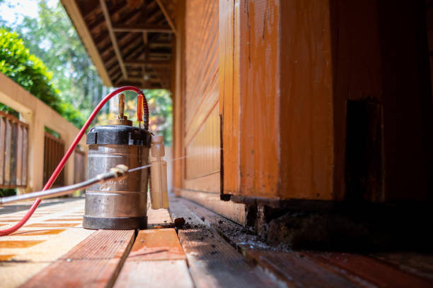 Best Best Pest Control Companies  in West Frankfort, IL