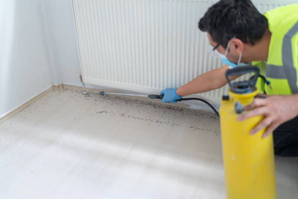 Best Flea Control Services  in West Frankfort, IL